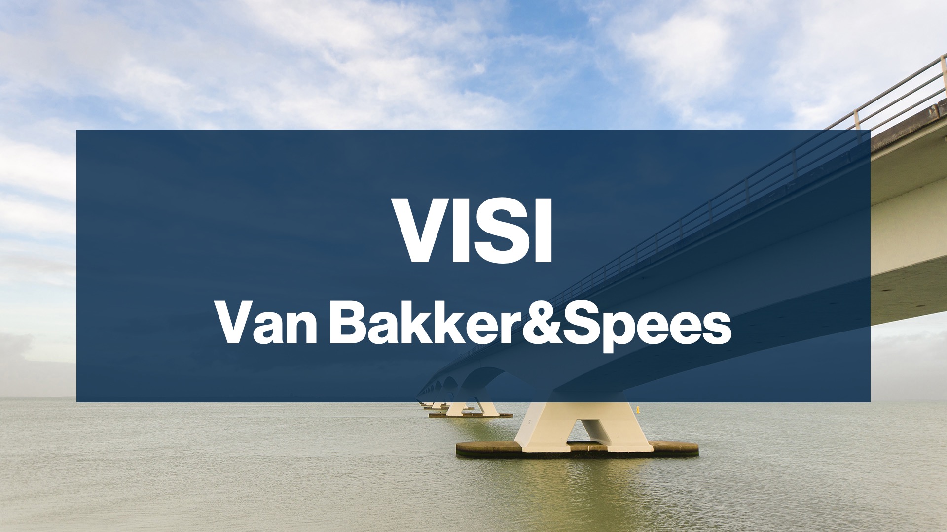 Productafbeelding voor VISI e-learning