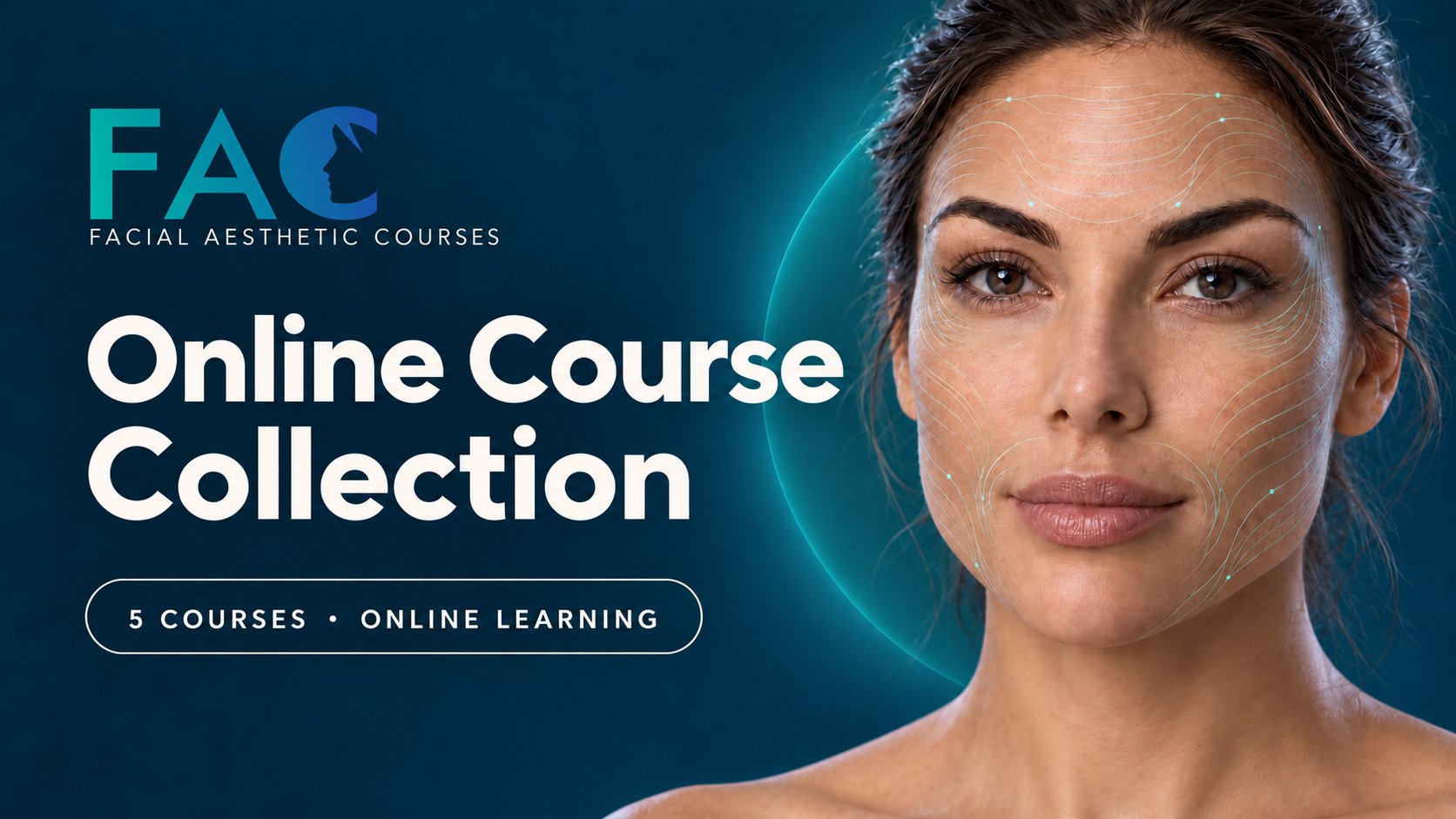 FAC Foundation and Advanced Online Course Collection
