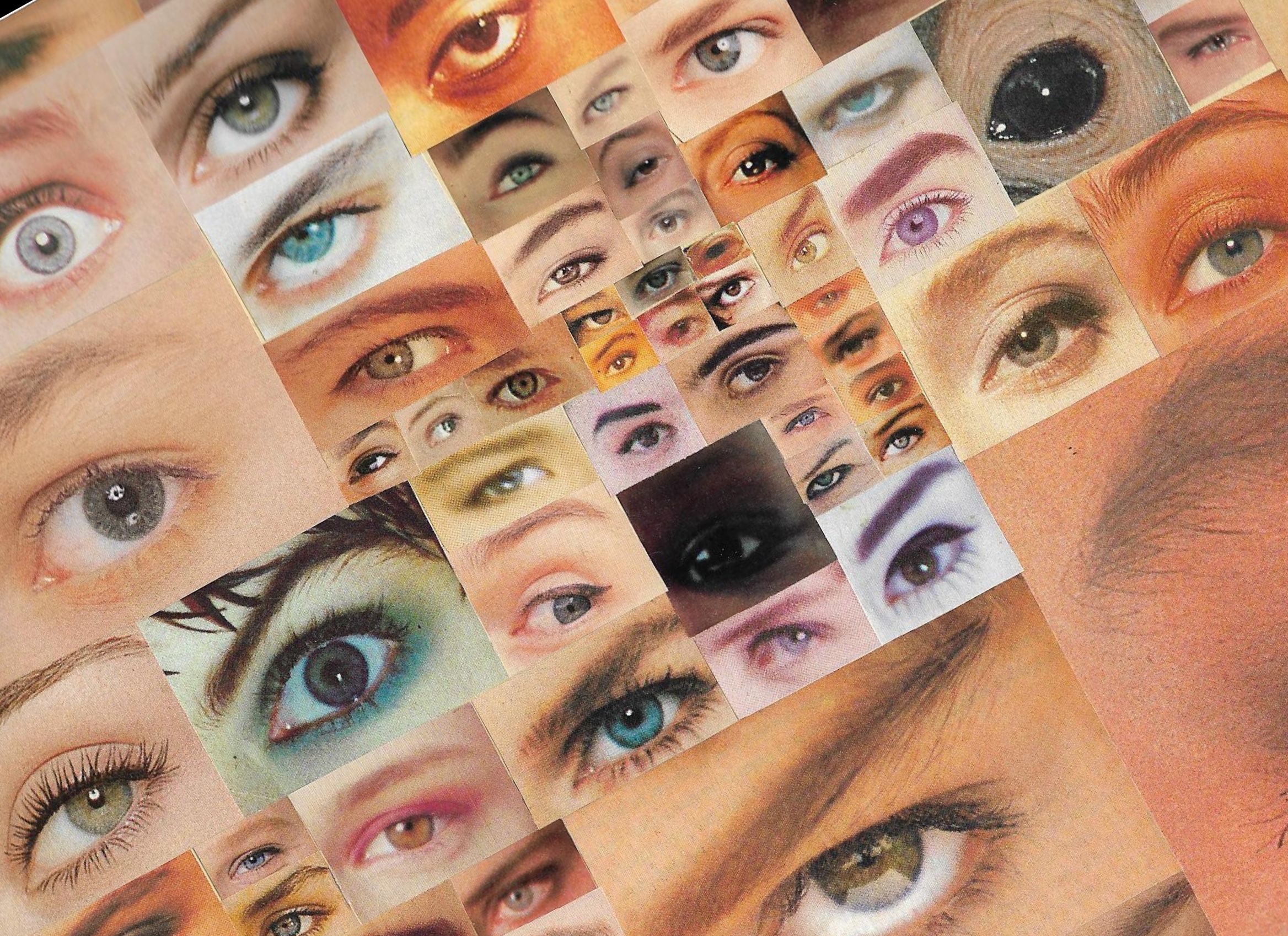 Product image for Scuola di Formazione per Educatori Visivi 2026/2027