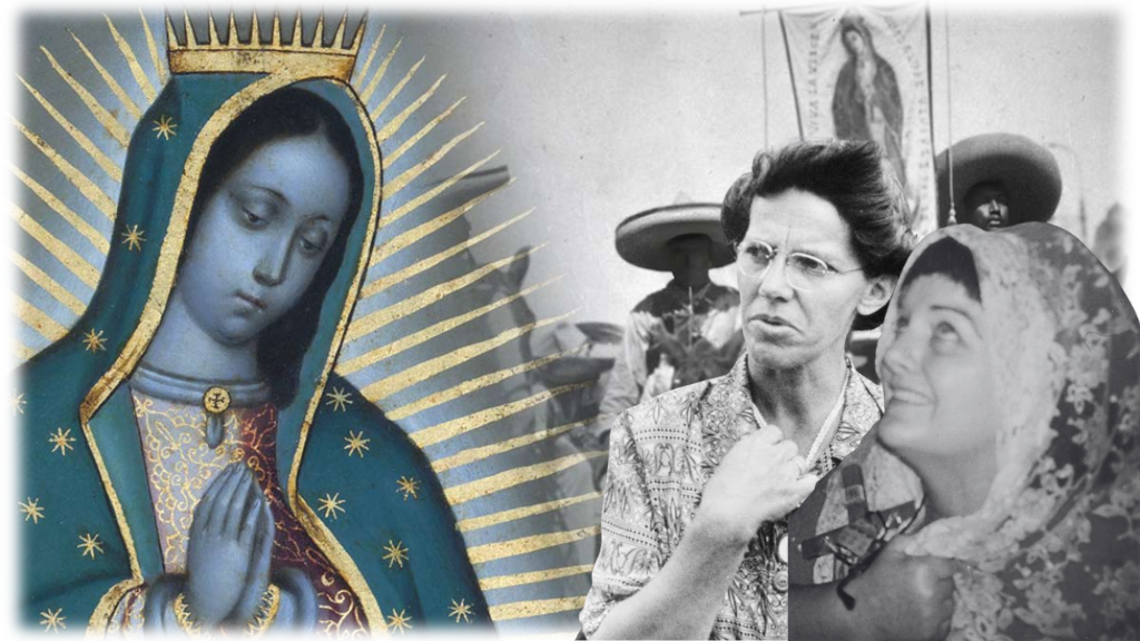 Product image for American Apparitions: The Blessed Virgin Mary, Guadalupe, Necedah, and Bayside