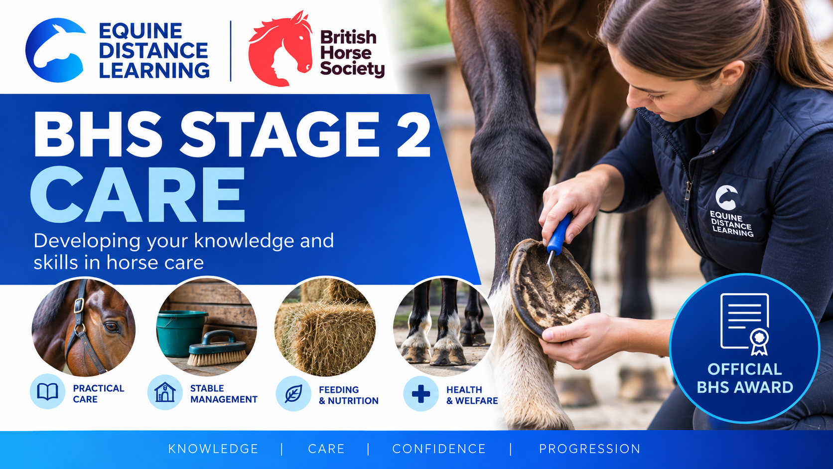 Product image for BHS Stage Two Care Course