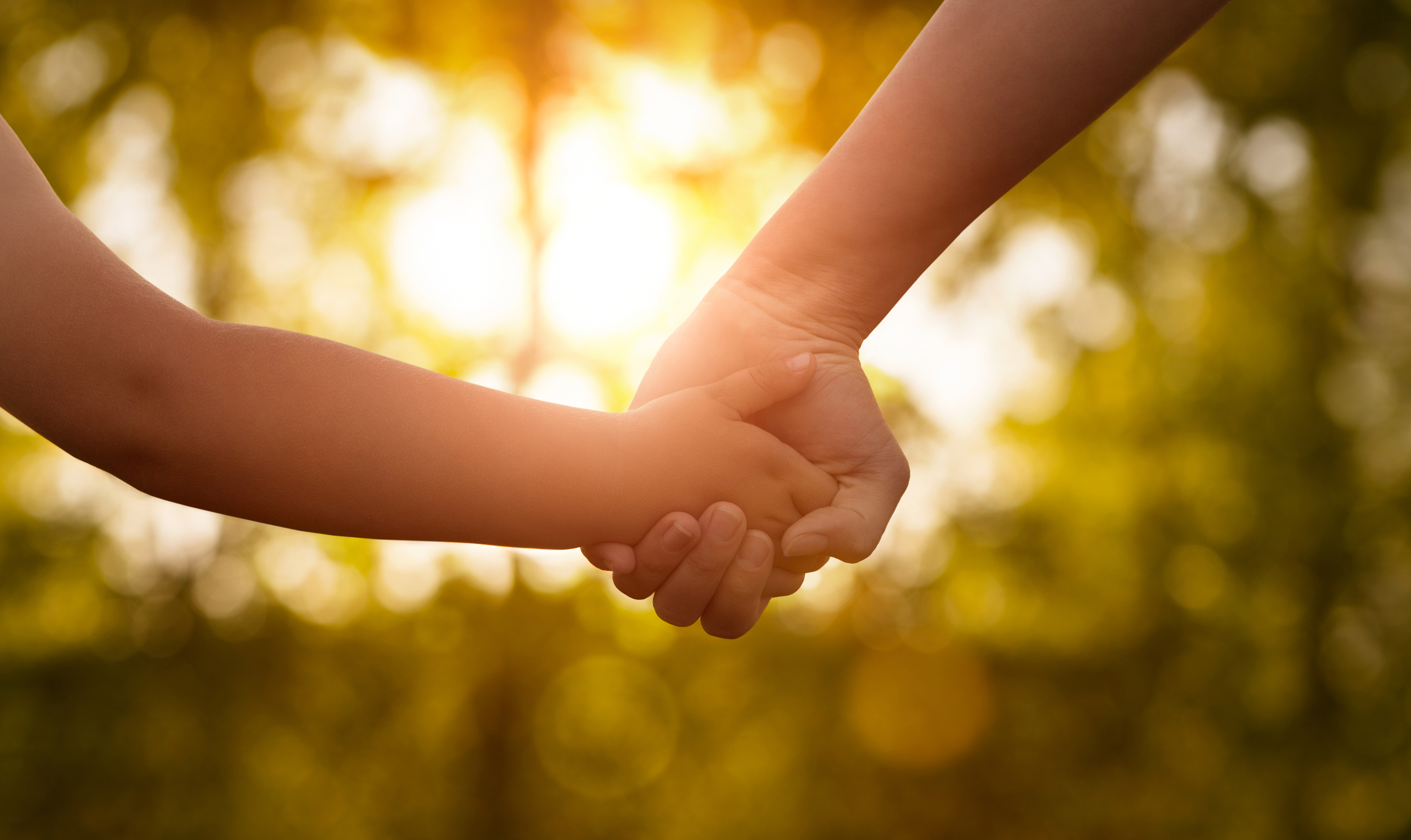 Product image for The Ultimate ADHD Parenting Course - Connected Program - Aug 2026 (includes live weekly calls + Facebook community)