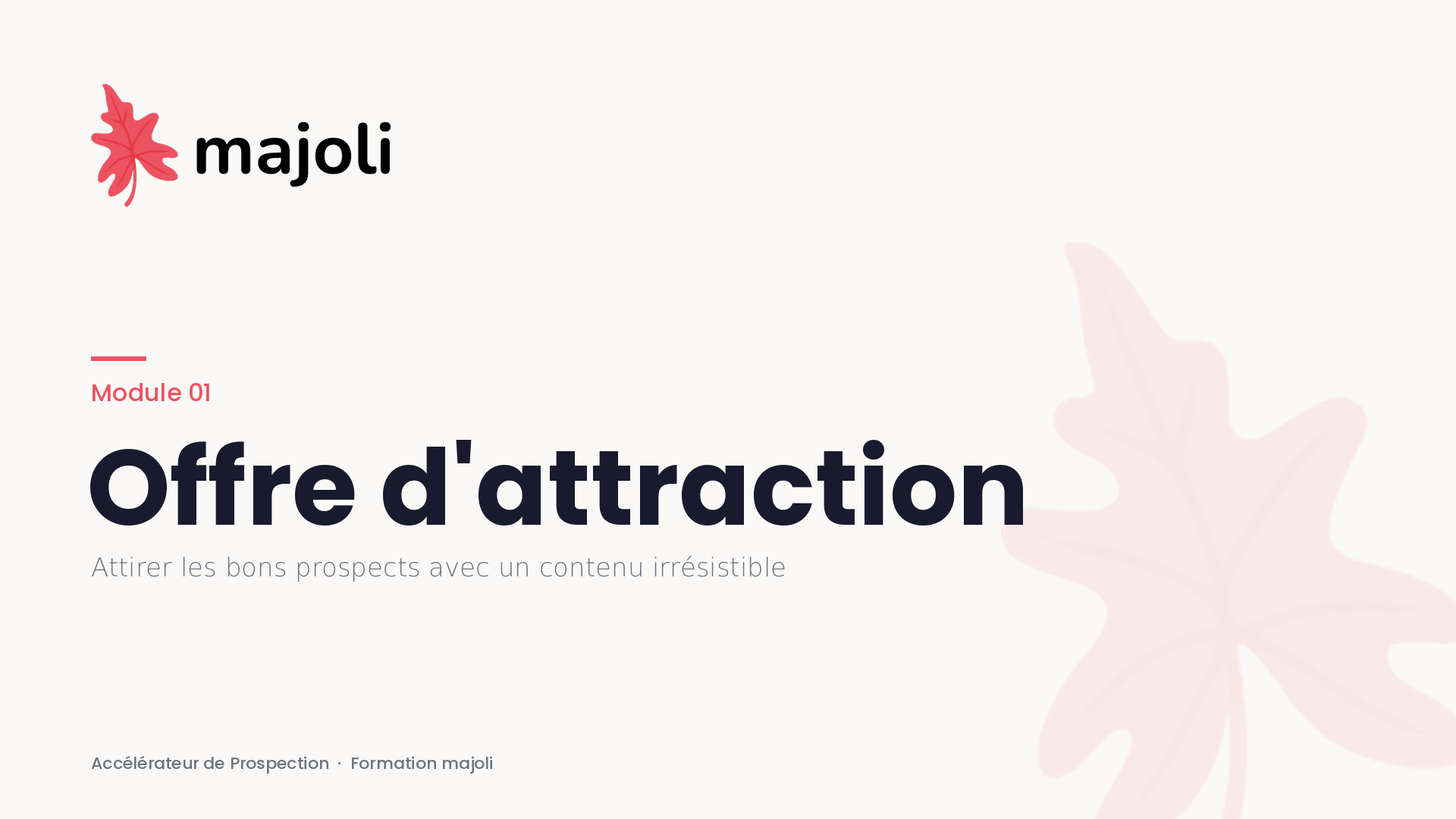 Product image for Offre d'attraction : Créez votre Lead Magnet