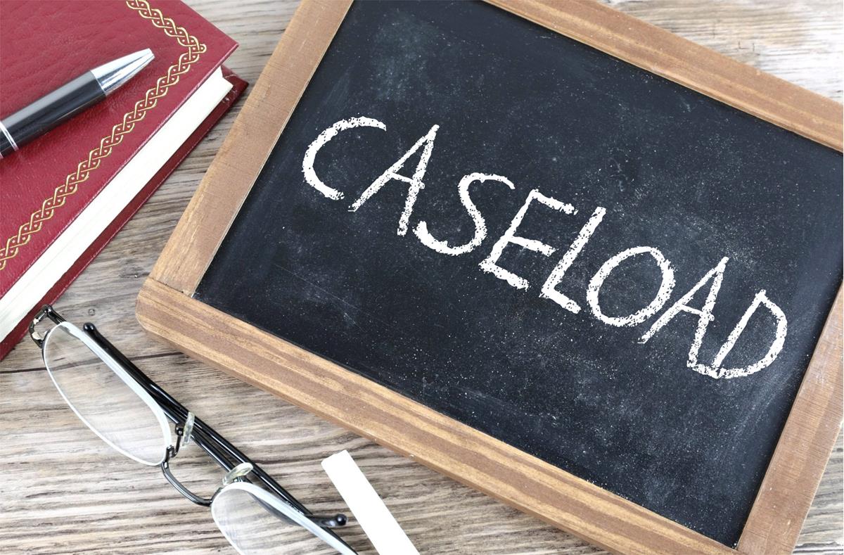 Product image for Being in Charge of your Caseload