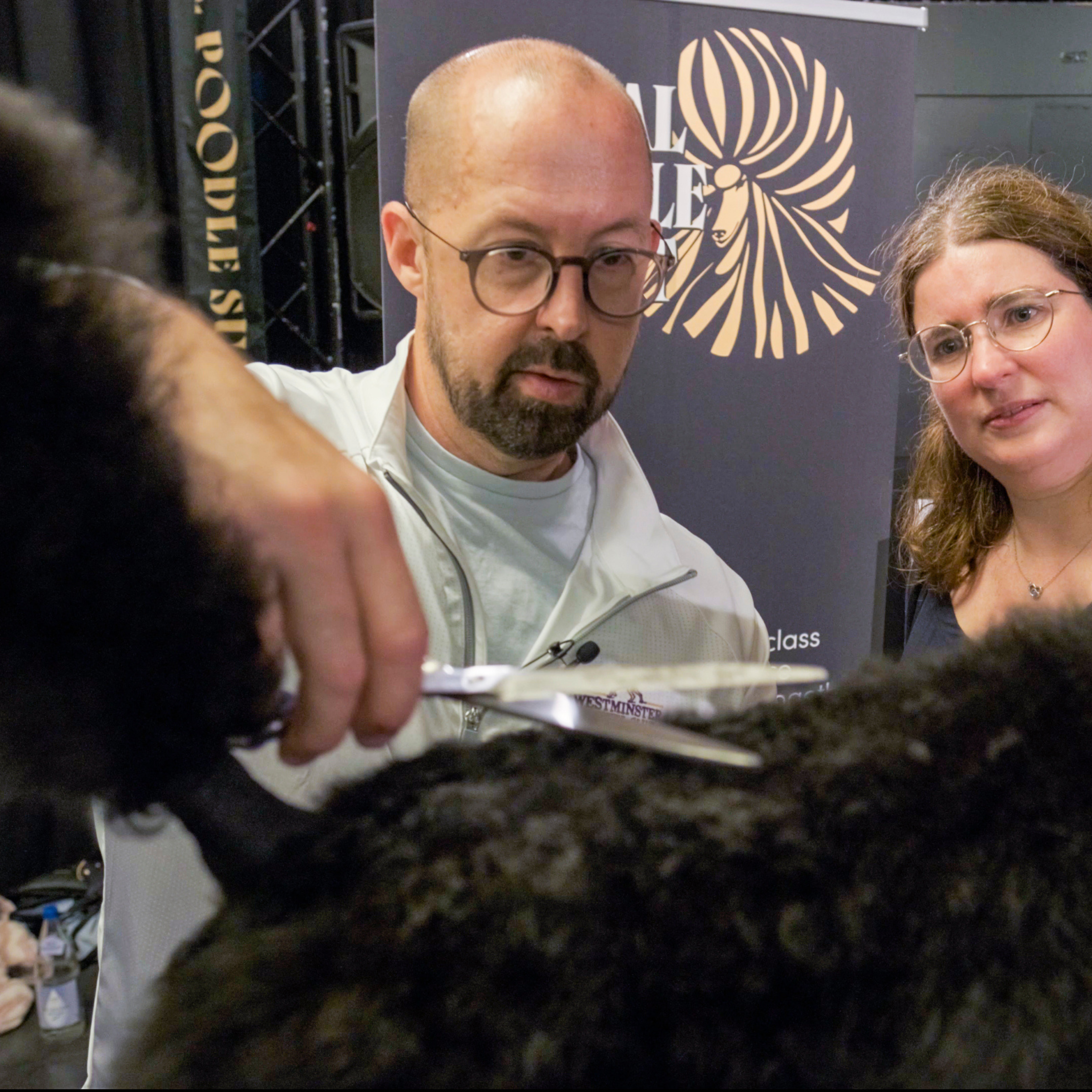 Jason Lynn trimming black Standard Poodle