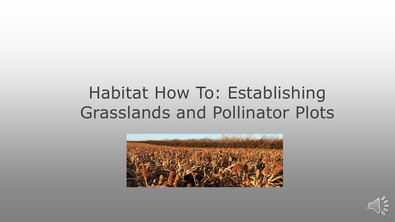 Product image for Habitat How To: Establishing Grasslands and Pollinator Plots