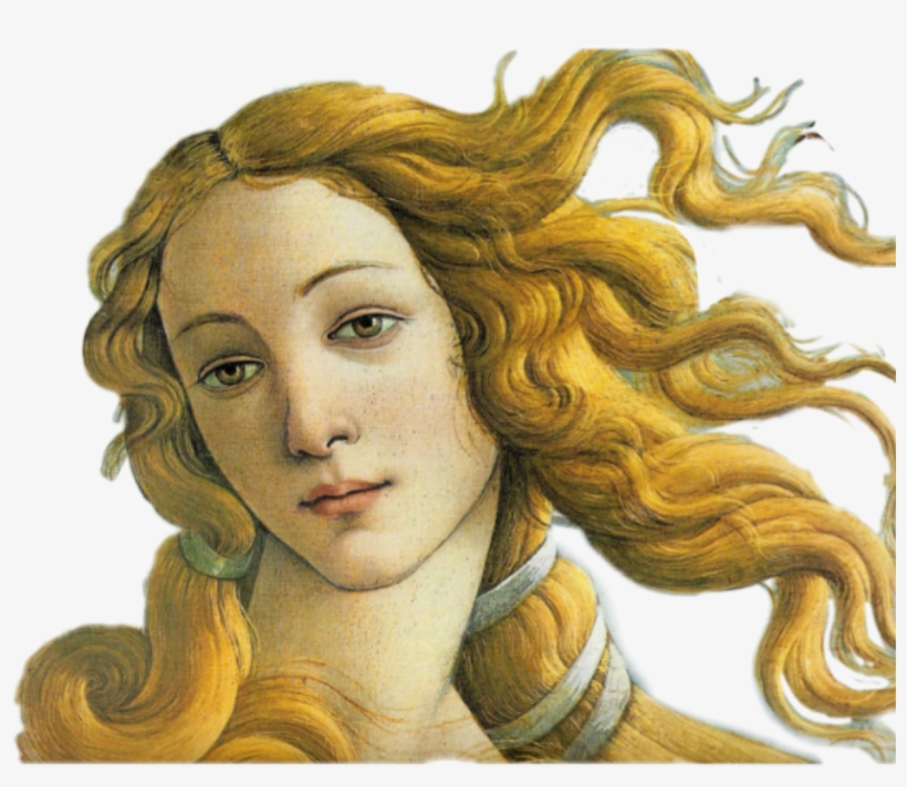 Product image for Rebirth Of The Heart