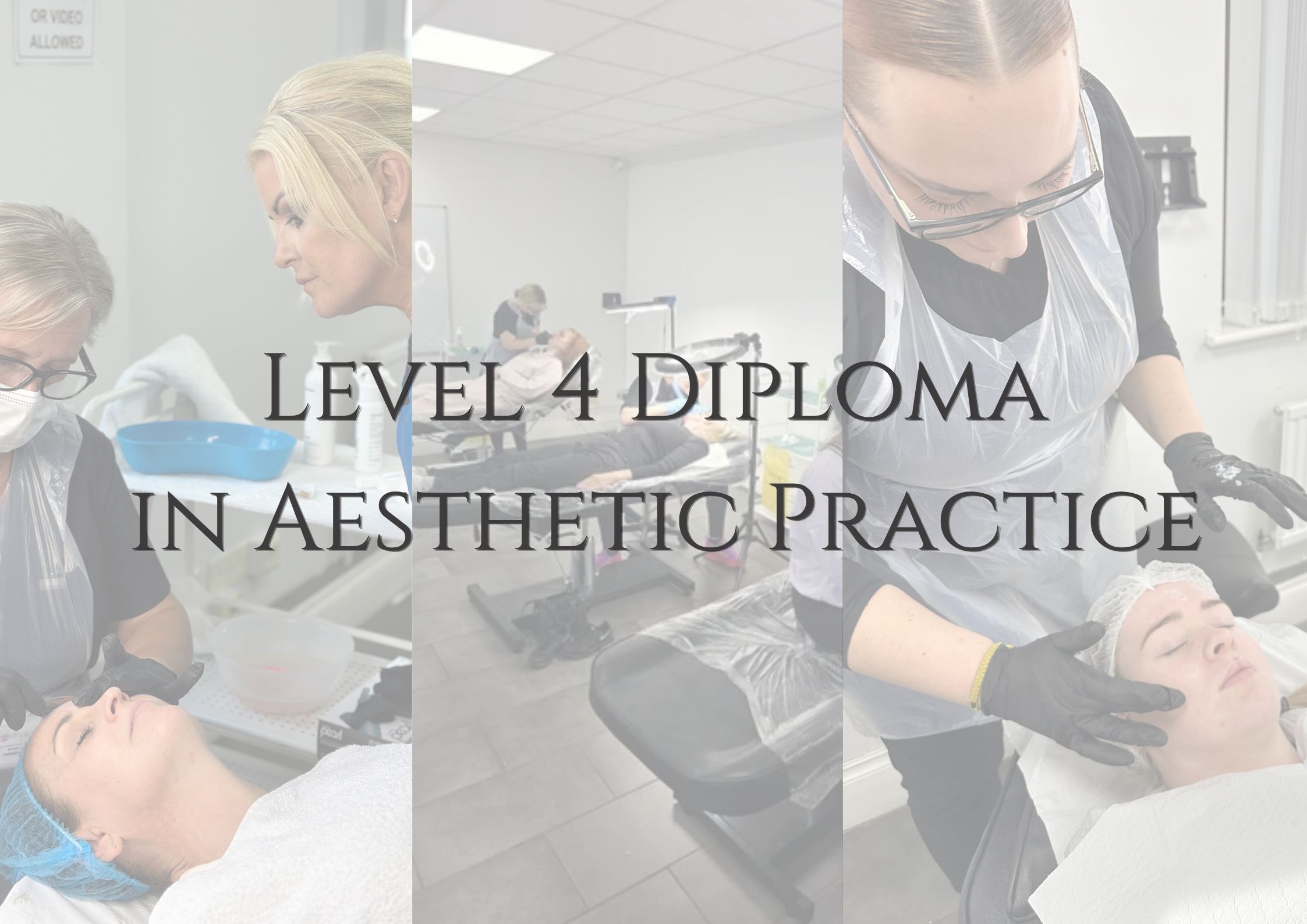 Product image for Level 4 Diploma in Aesthetic Practice ( Microneedling, Chemical Peels, Electrotherapy)