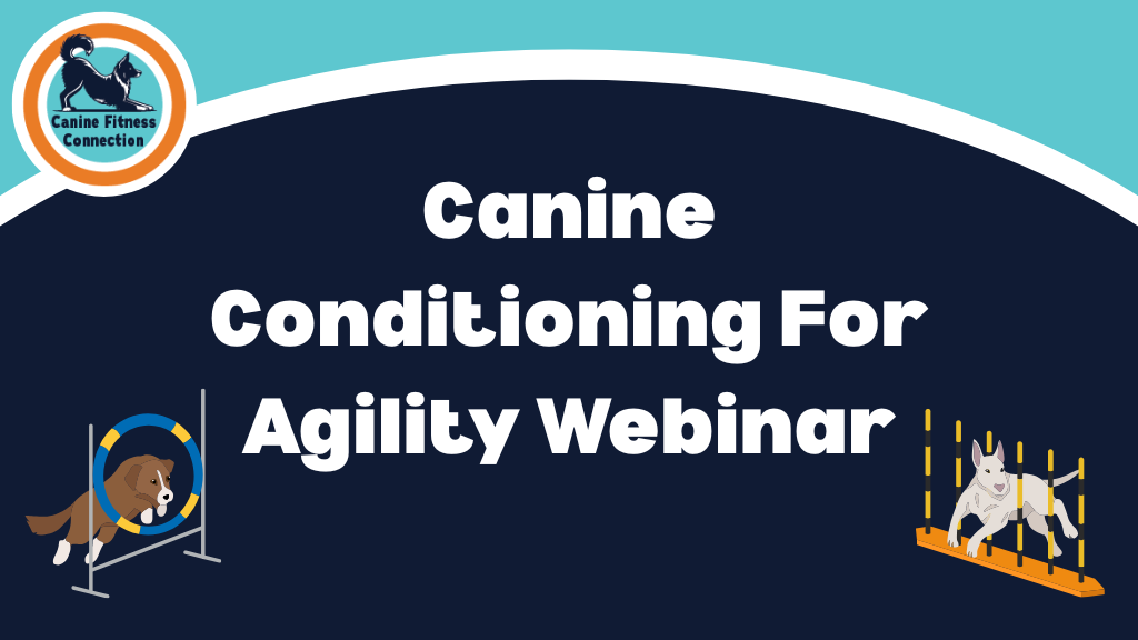 Product image for Agility Conditioning Webinar
