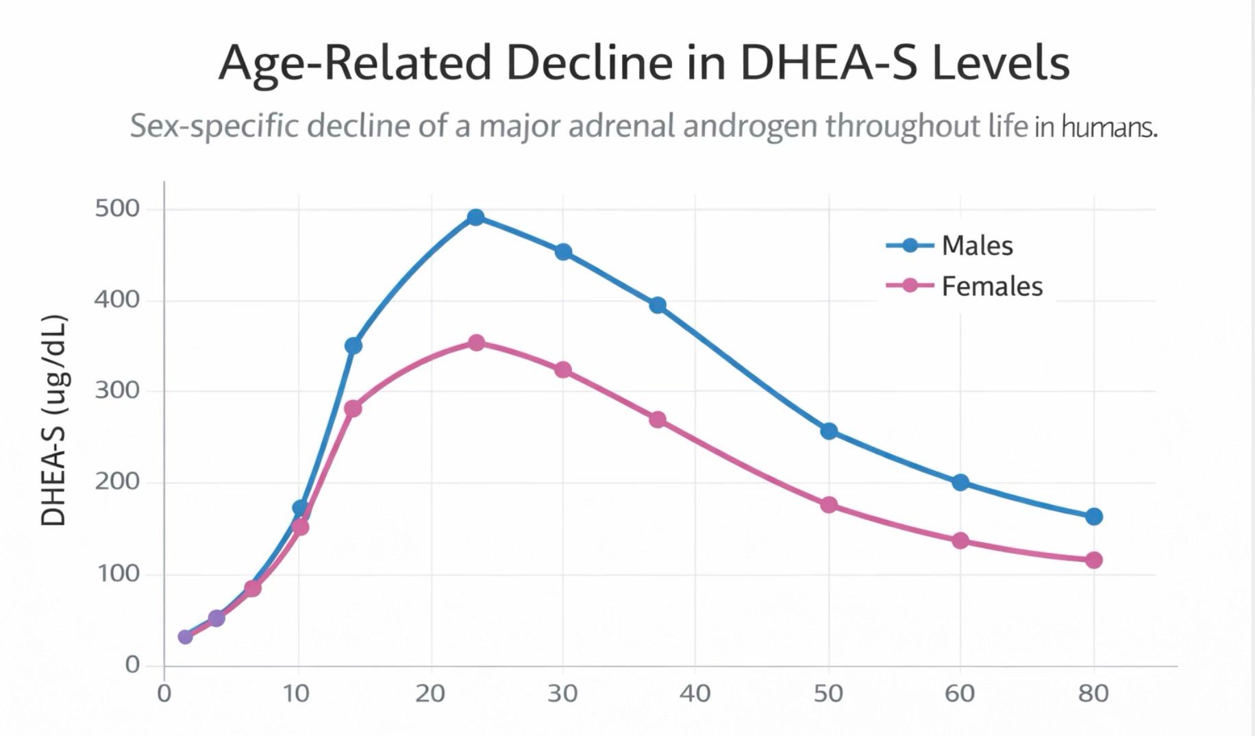 Product image for *UPCOMING* DHEA Levels in PD