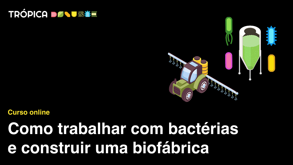 Product image for Como trabalhar com bactérias e construir uma biofábrica