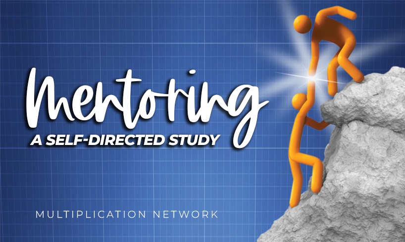 Product image for Mentoring