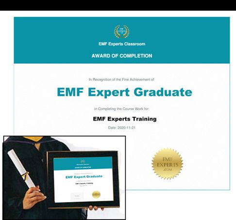EMF Expert Graduate Diploma