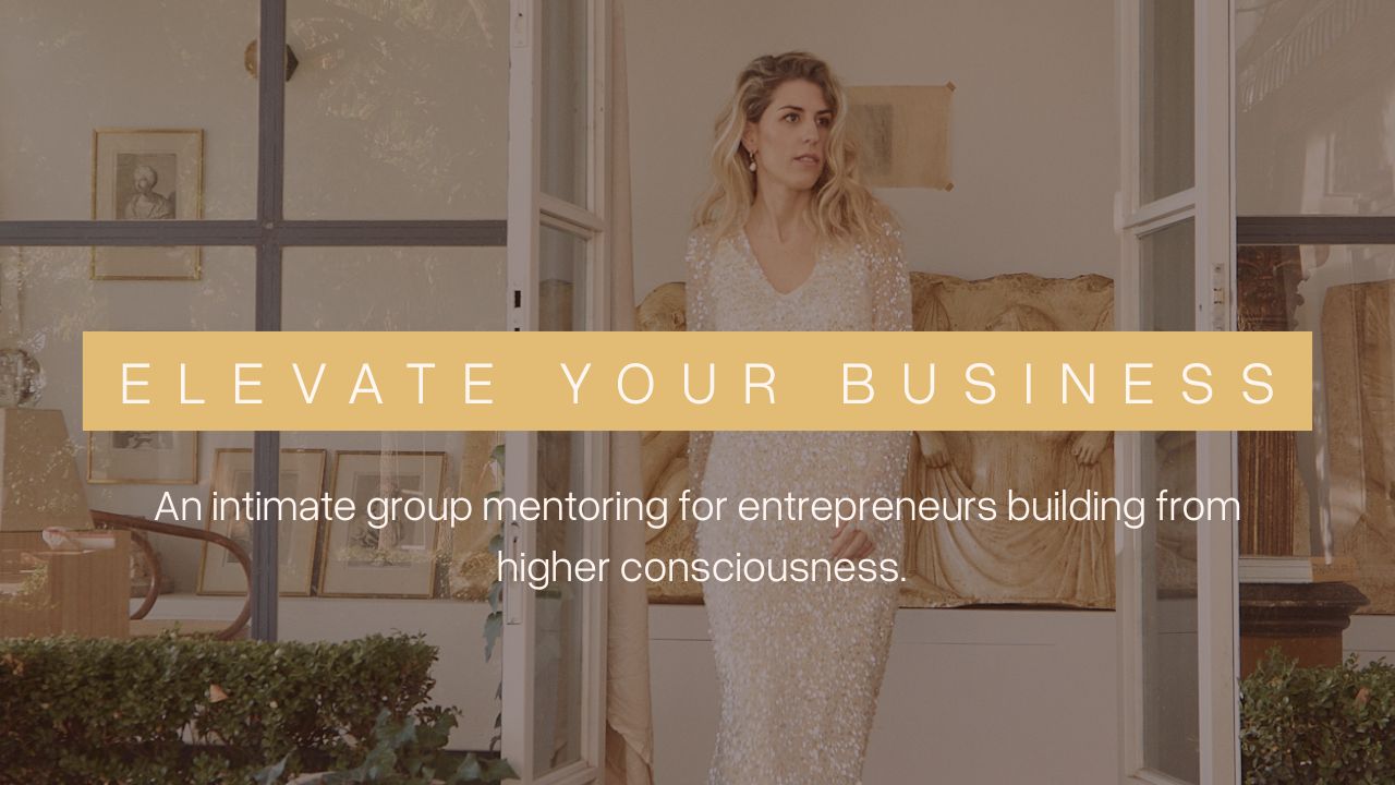 Product image for Elevate Your Business