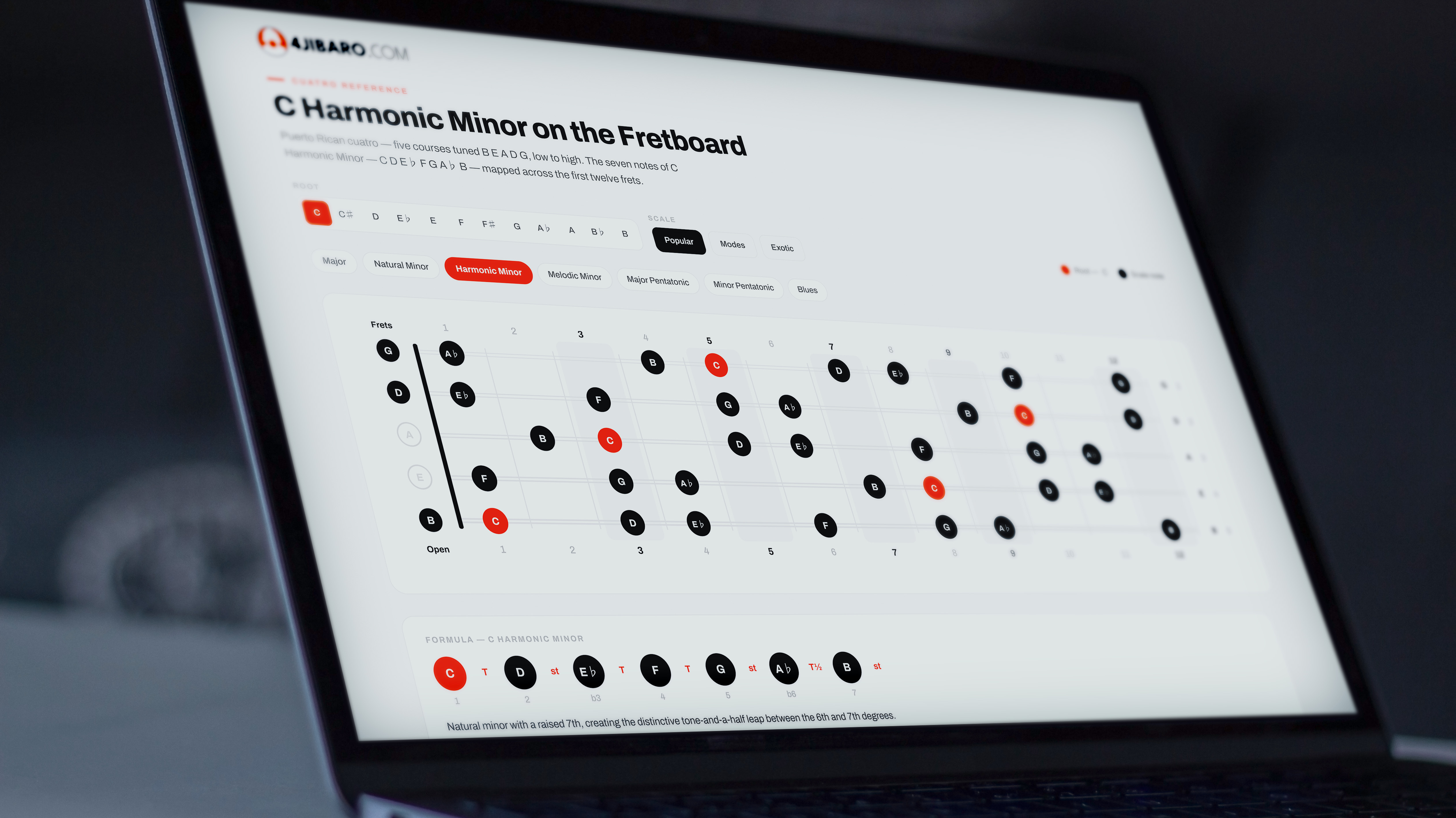 Product image for The Practice Hub: Interactive Musician's Toolkit