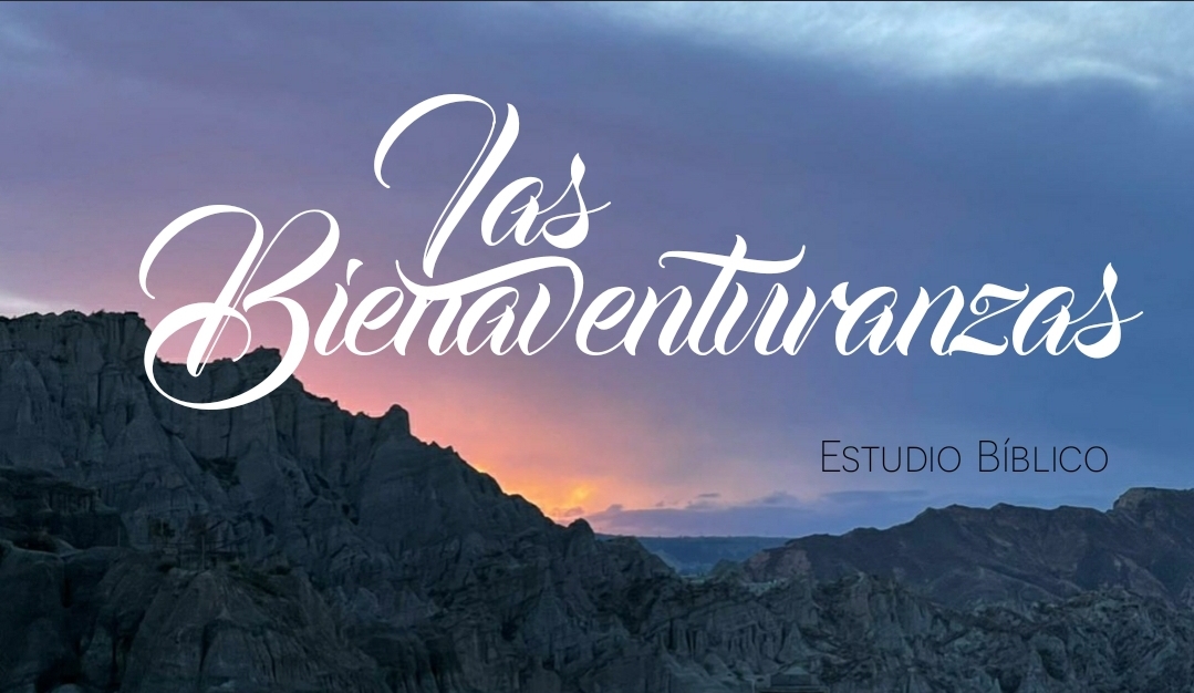 Product image for LAS BIENAVENTURANZAS