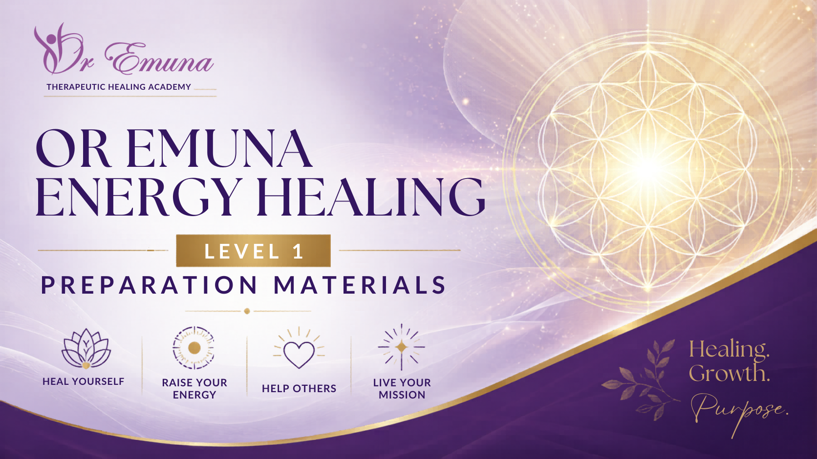 Product image for *NEW* Or Emuna Energy Training Preparation Materials