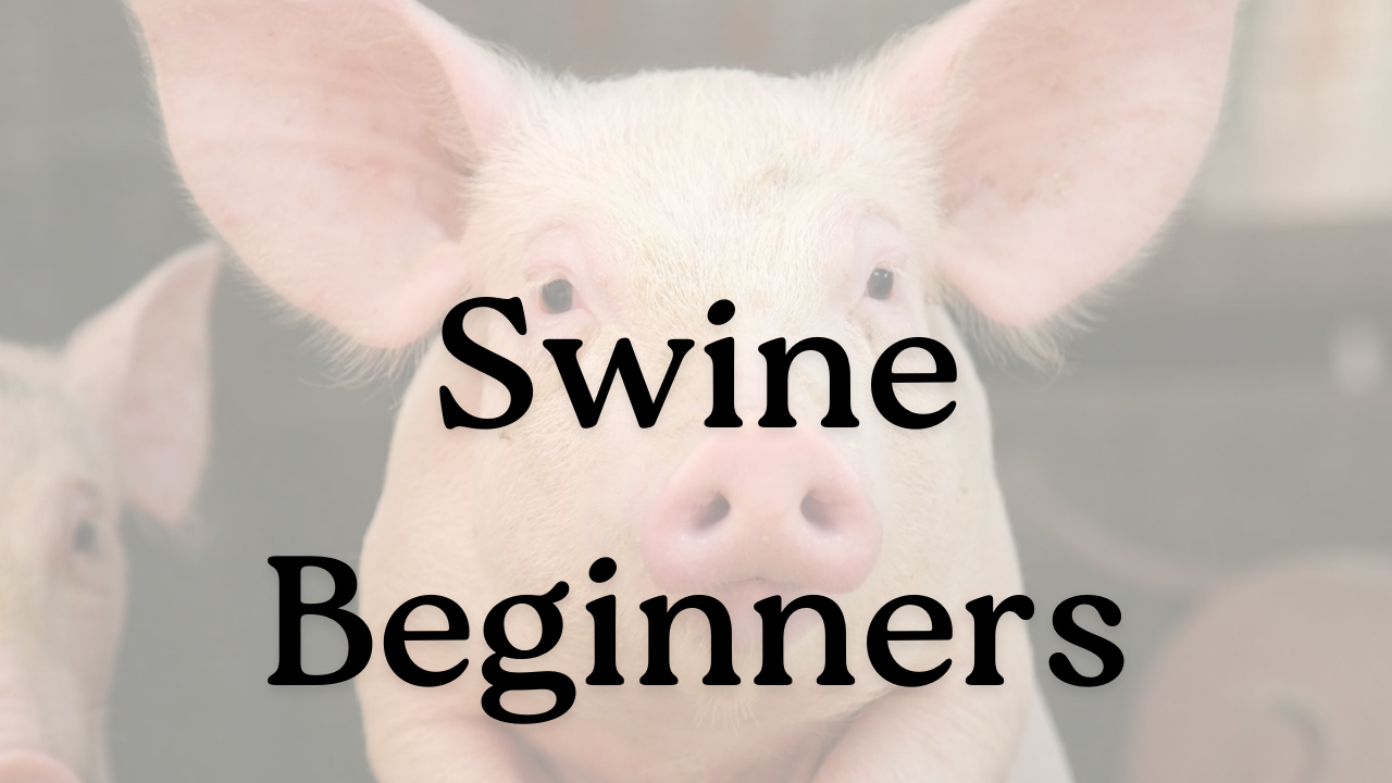 Product image for Spanish for Swine: Beginners (FALL 2026) ASYNCH