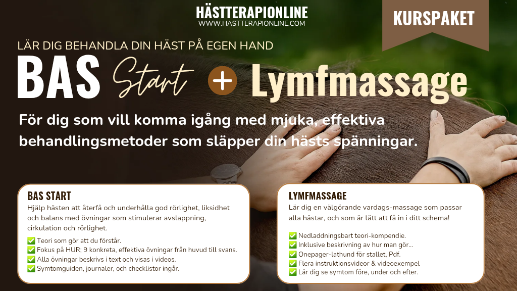 Product image for Bas Start + Lymfmassage