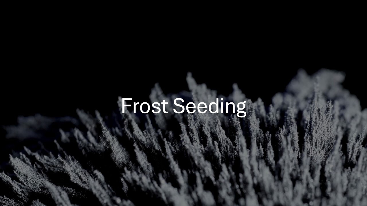 Product image for HU 144 Frost Seeding 