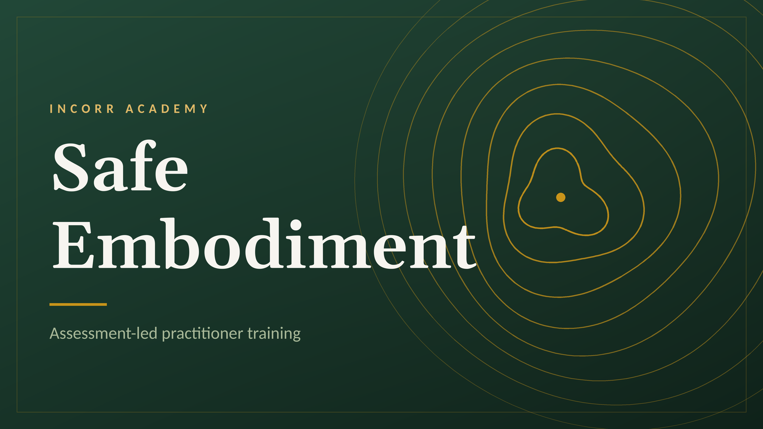 Product image for Safe Embodiment: The Pre Therapeutic Process - 2026