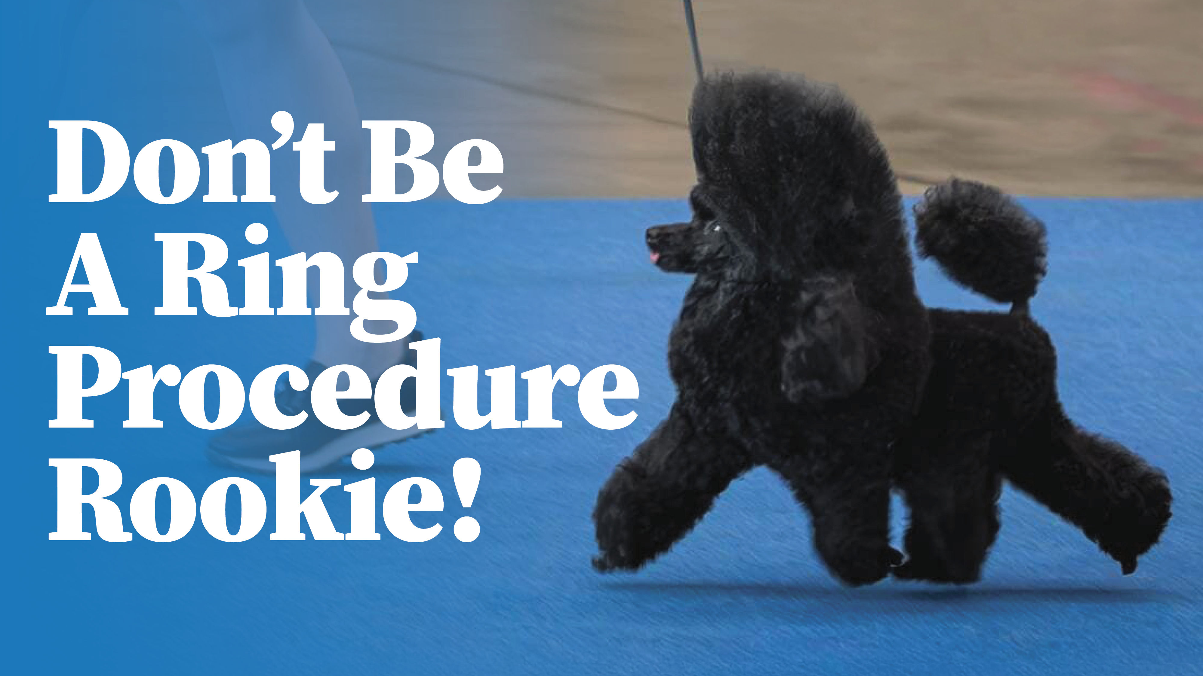 Product image for Don't Be A Ring Procedure Rookie!