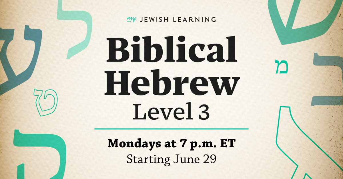 Product image for Biblical Hebrew Level 3 (2026)