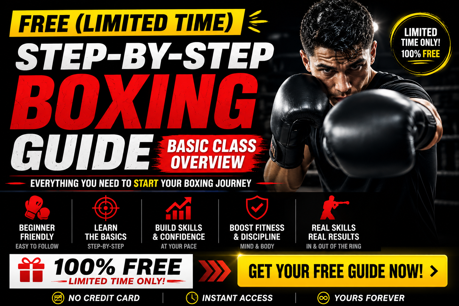 Product image for Free (Limited Time) Step-By-Step Boxing Guide Basic Class Overview