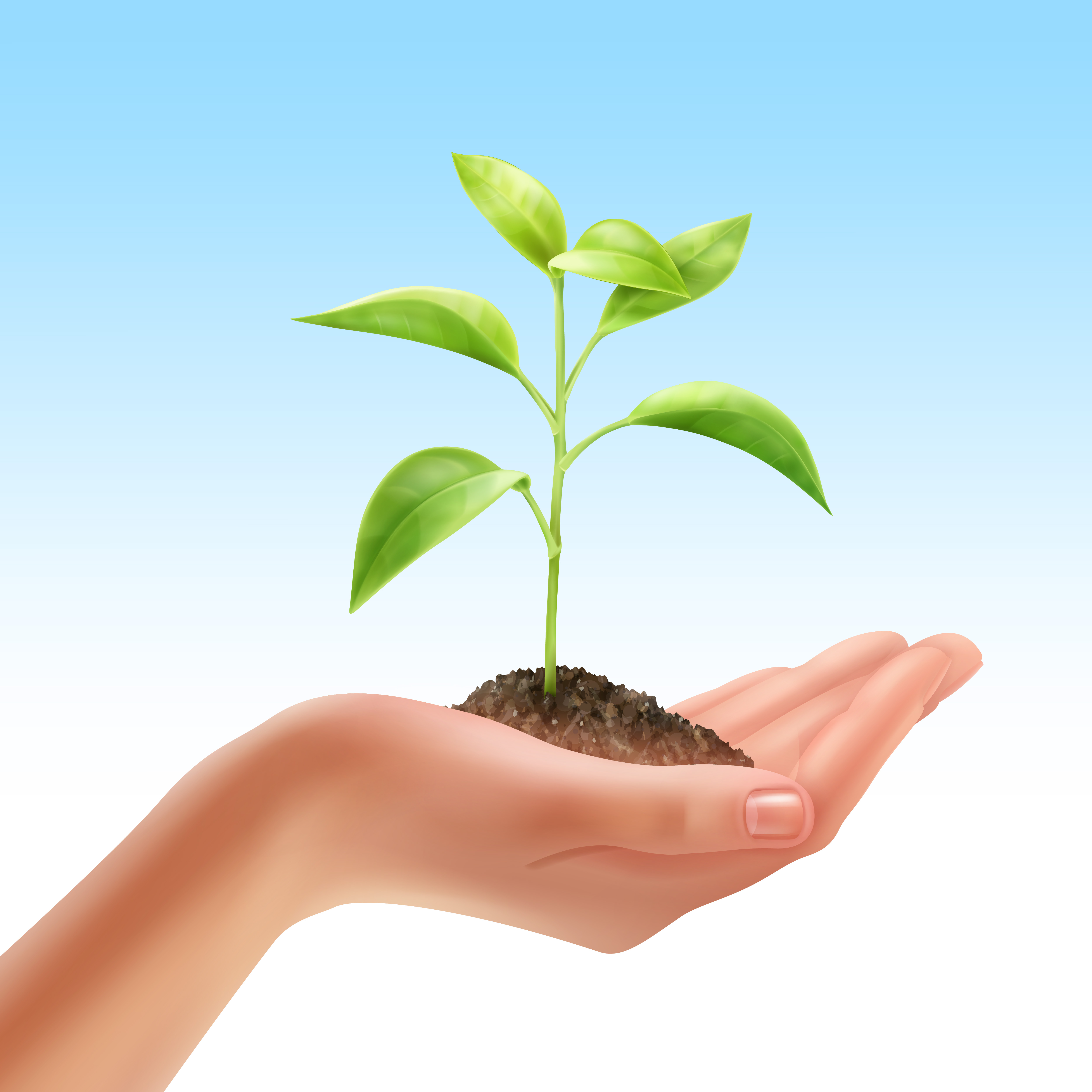 Product image for Celebrate Spring Celebrate Earth Day!