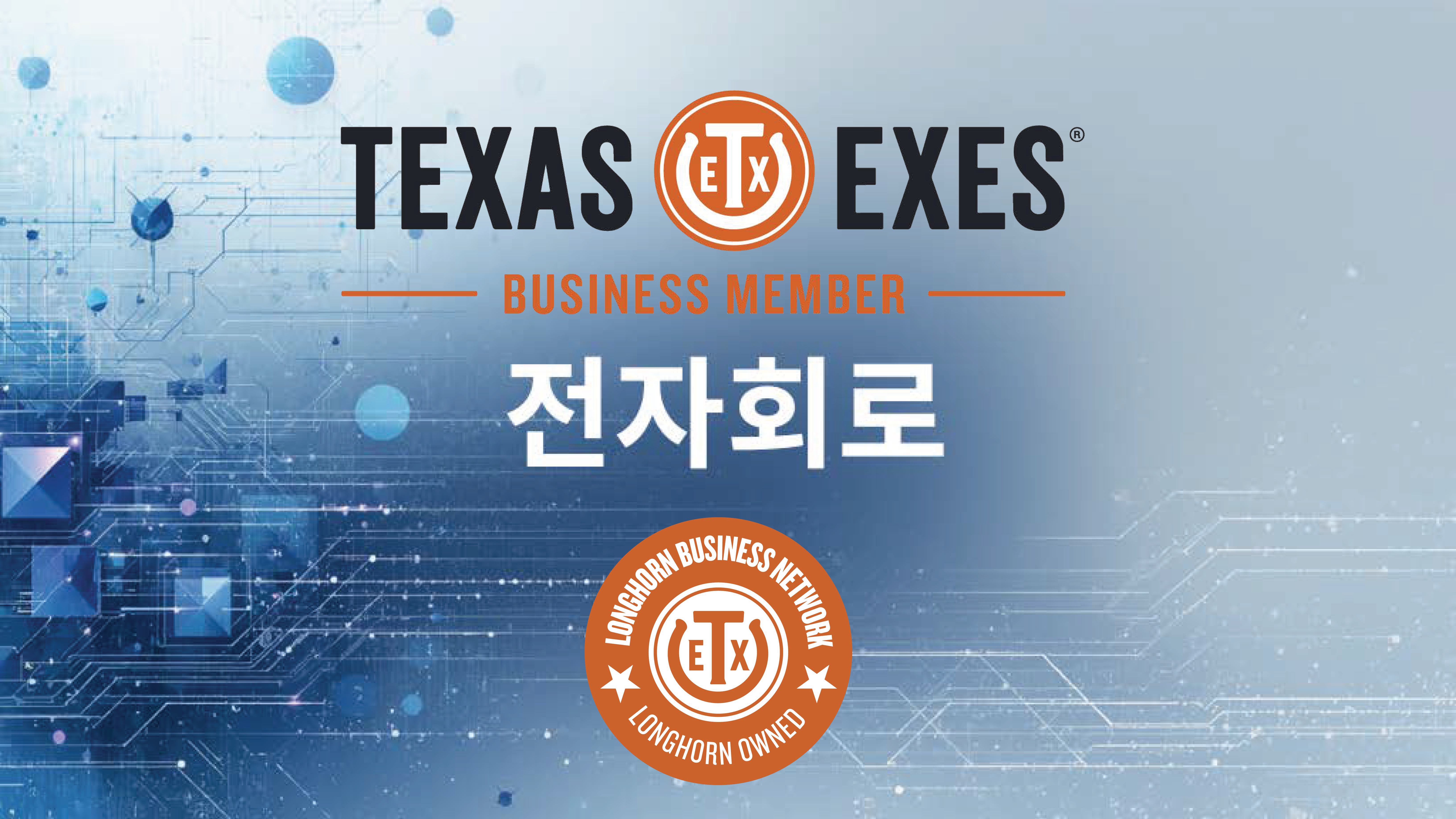 Product image for 전자회로 