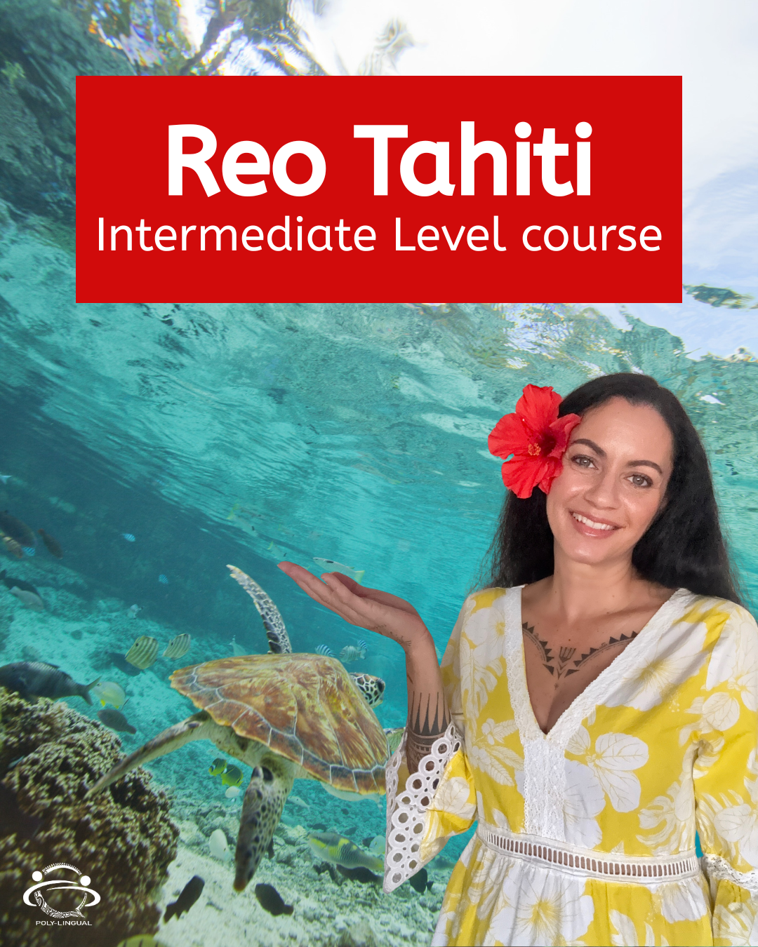Product image for Reo Tahiti Master Course for intermediates
