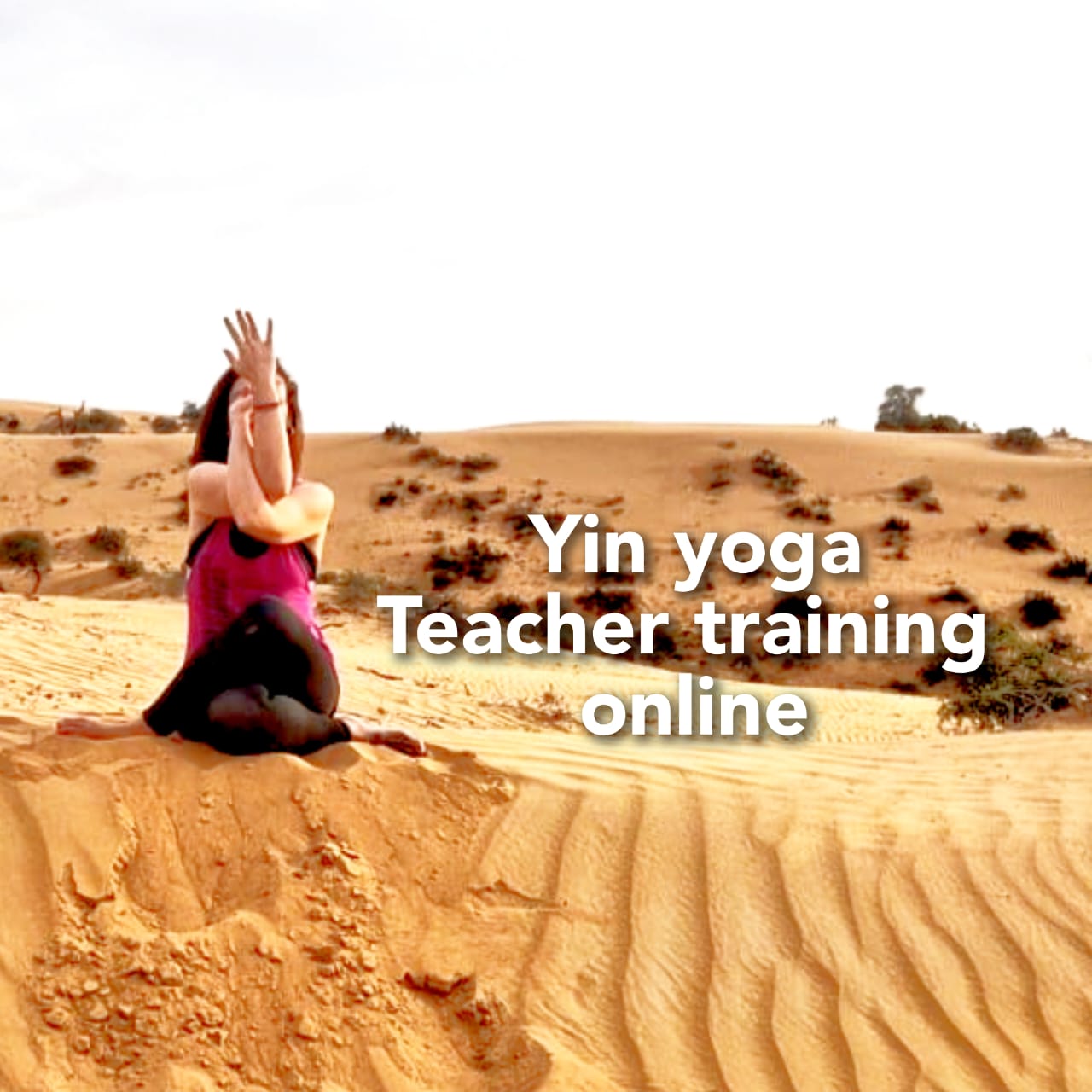 Product image for YIN YOGA TEACHER TRAINING MASTER COURSE yoga alliance international