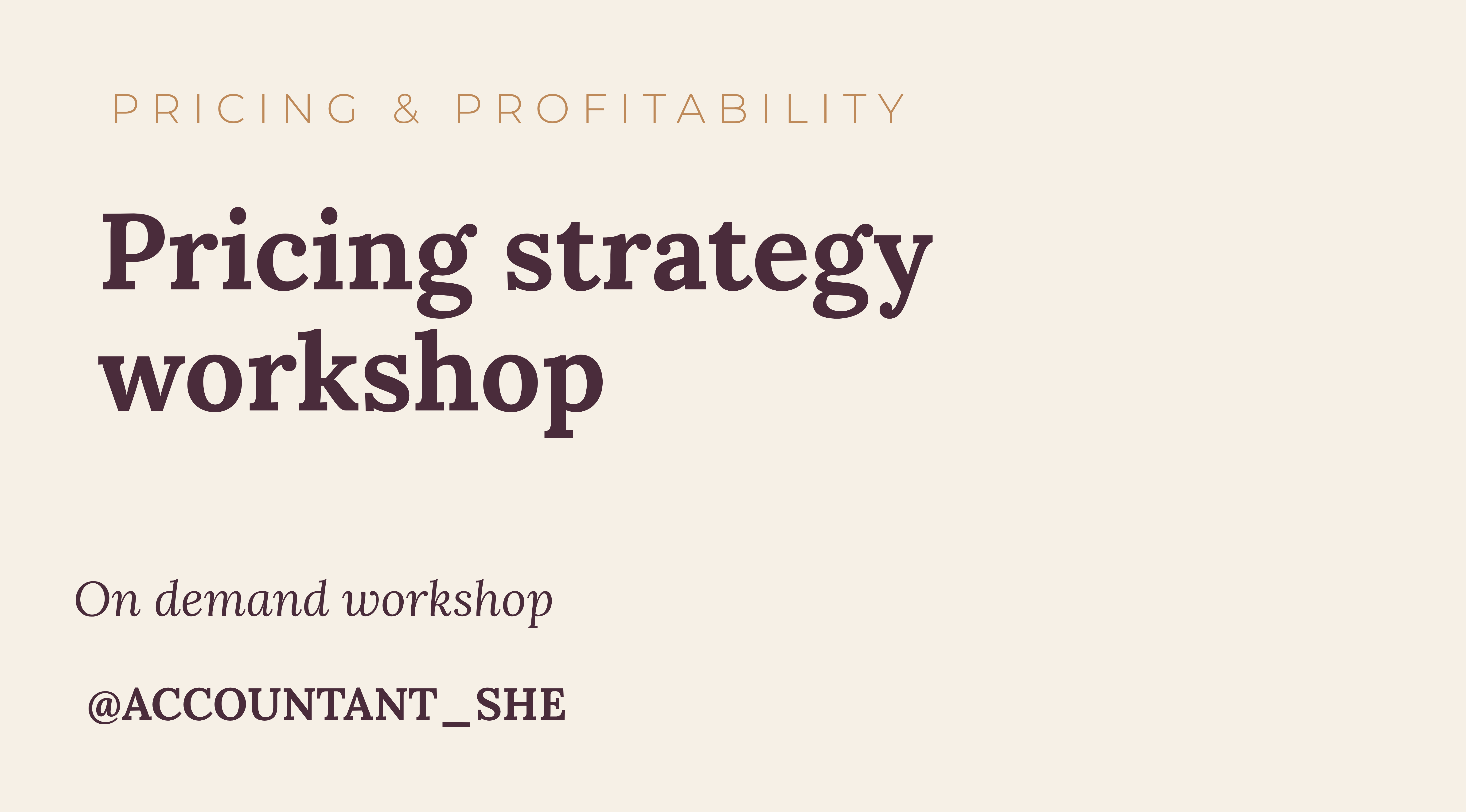 Product image for Business owners pricing strategy workshop