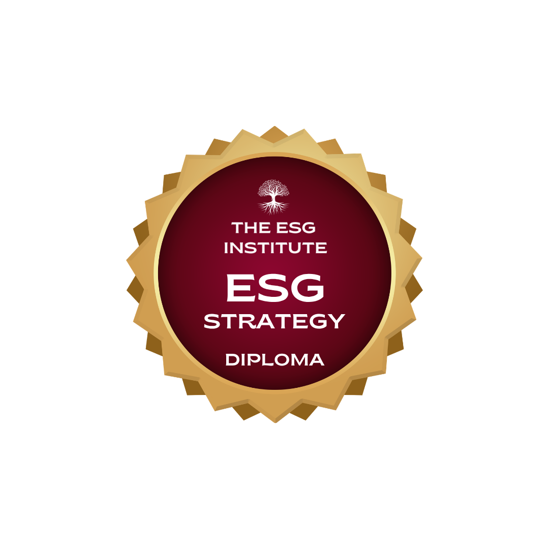 Product image for Diploma in ESG Strategy (ESG-S)