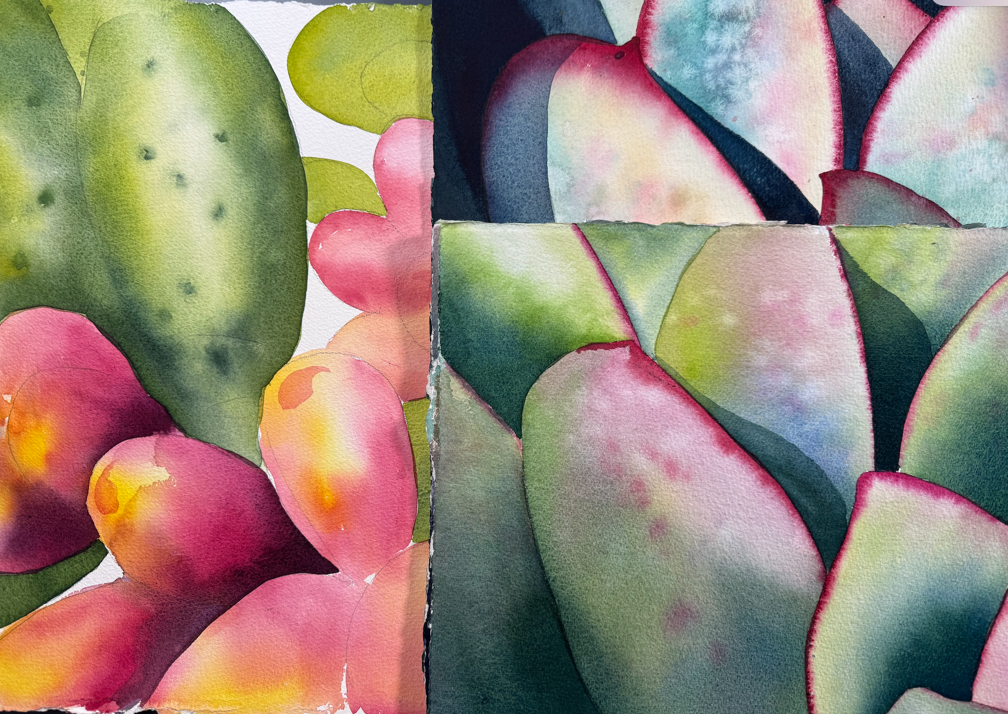 Product image for Finding Form in Watercolor