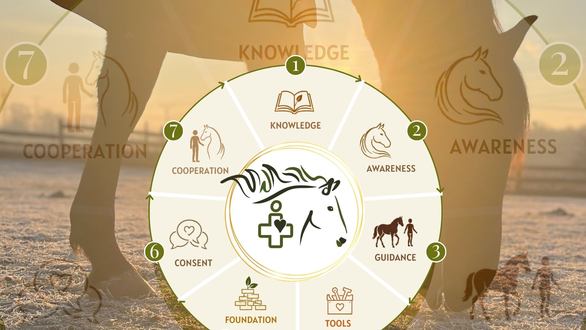Product image for The Human-Equine Cooperation Framework™