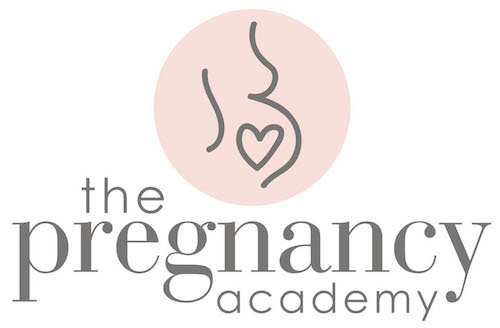 Product image for The Pregnancy Academy