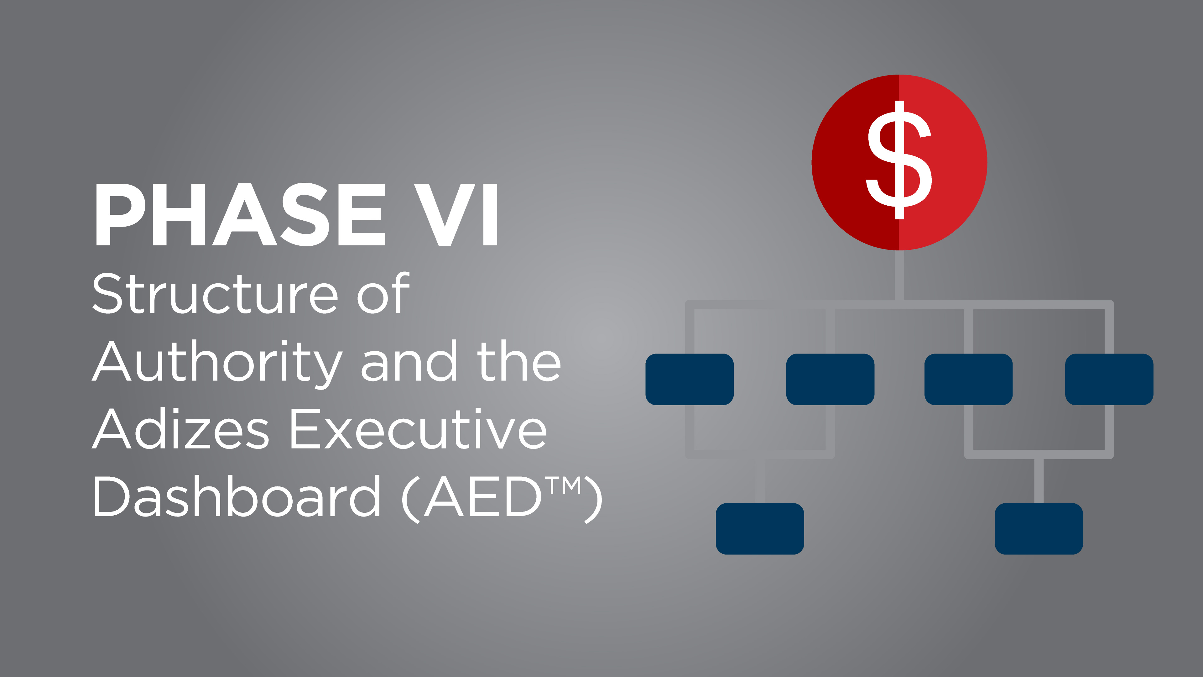 Product image for Phase VI: Adizes Profit Tracking Accountability System Introduction - Zvezdan Horvat