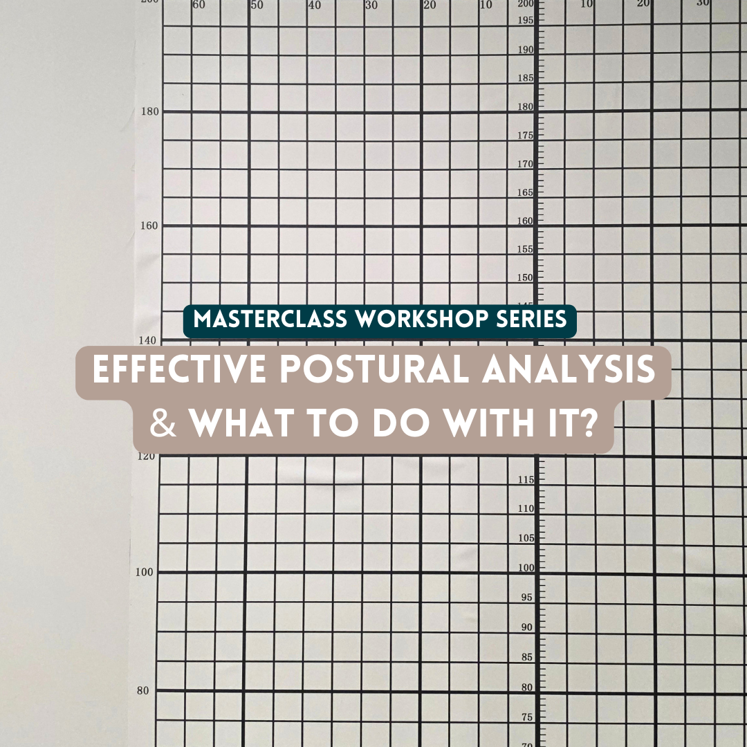 Product image for Masterclass Workshop Series- Effective Postural Analysis & What to Do with it?