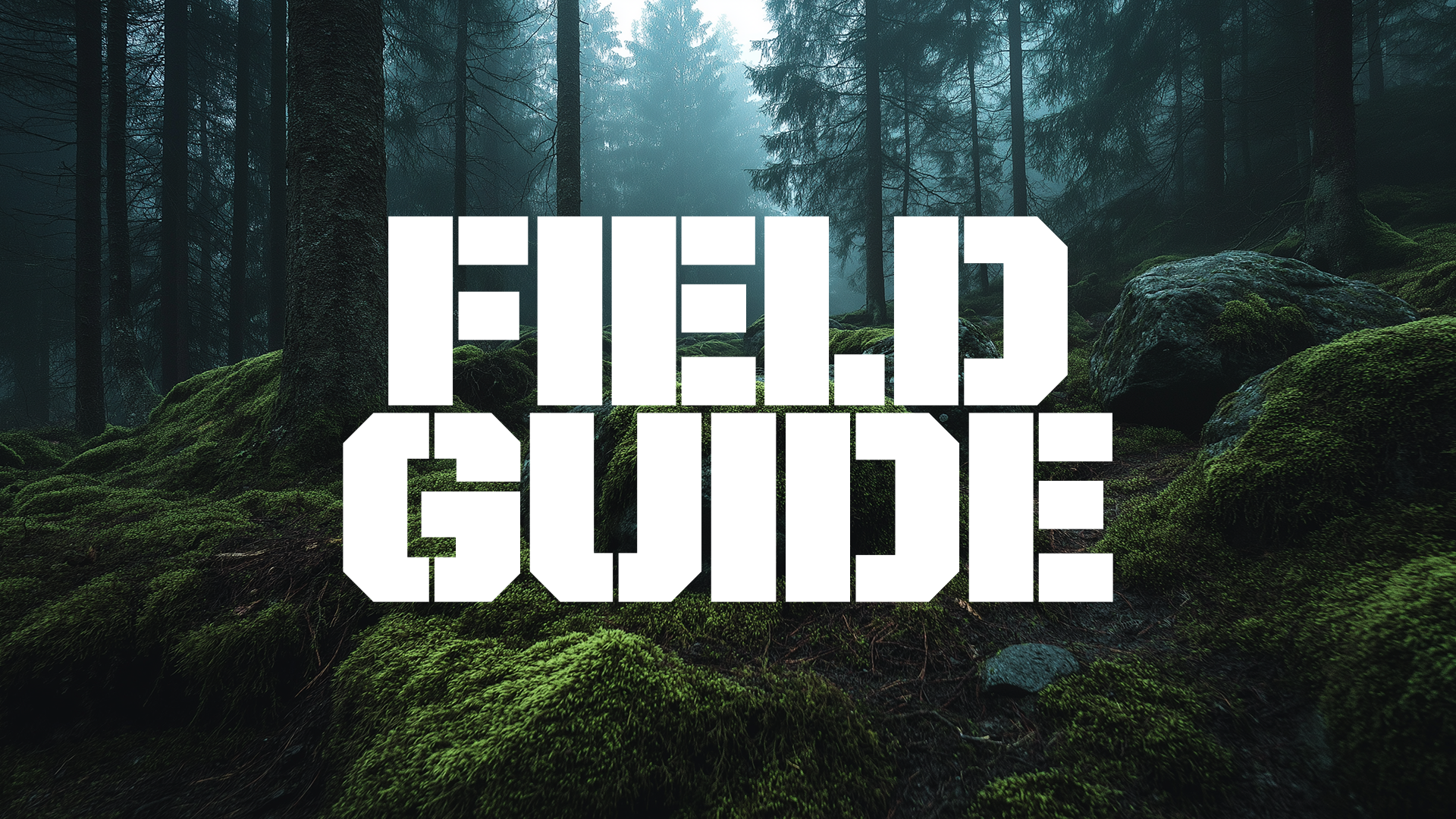Product image for Field Guide