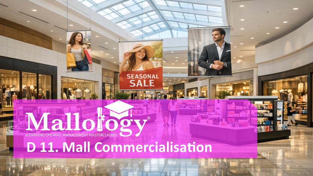 Product image for D11: Mall Commercialisation