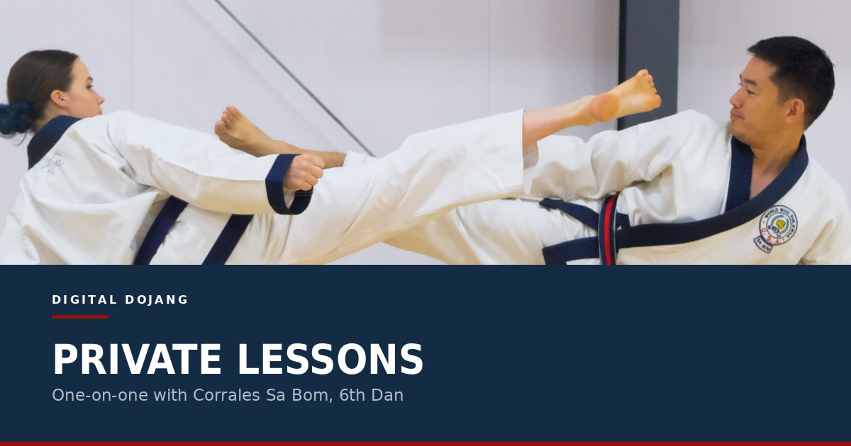 Product image for Private Martial Arts Lessons 