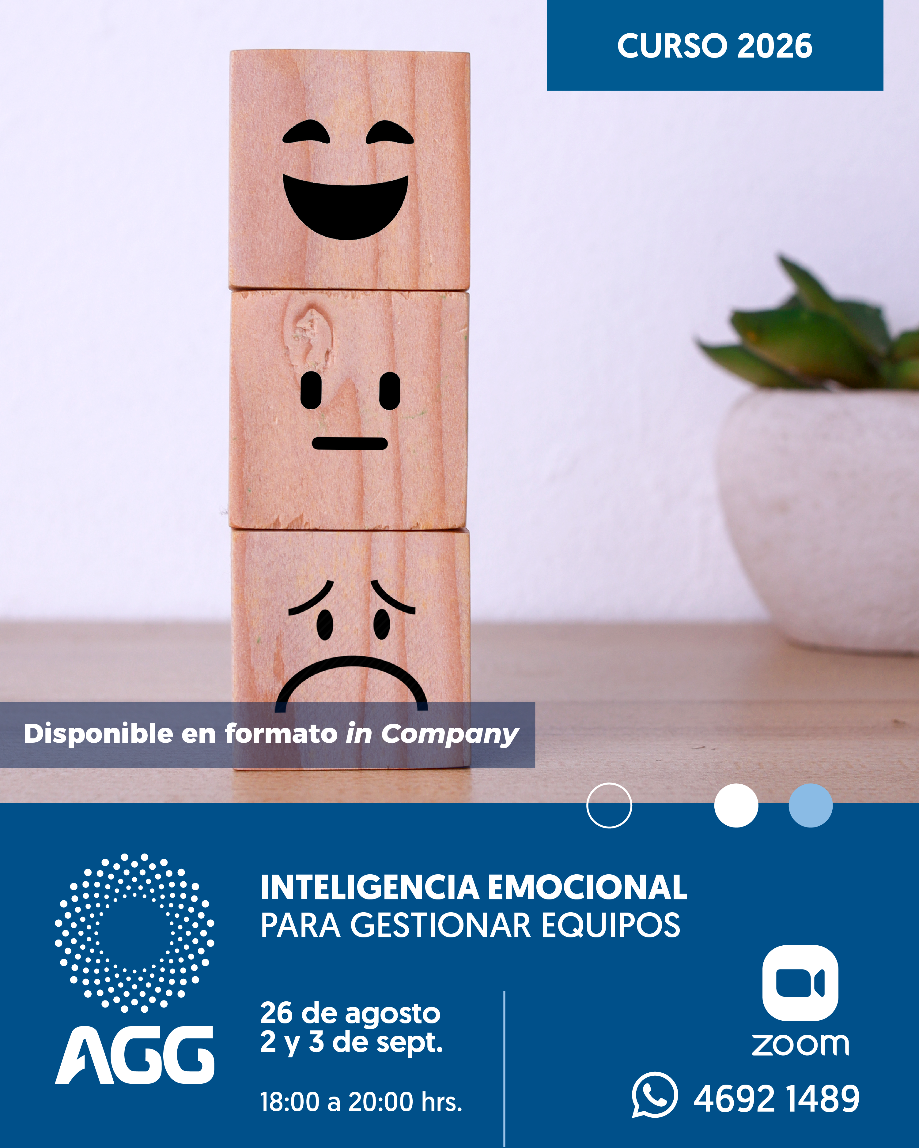 Product image for Inteligencia emocional para gestionar equipos G3