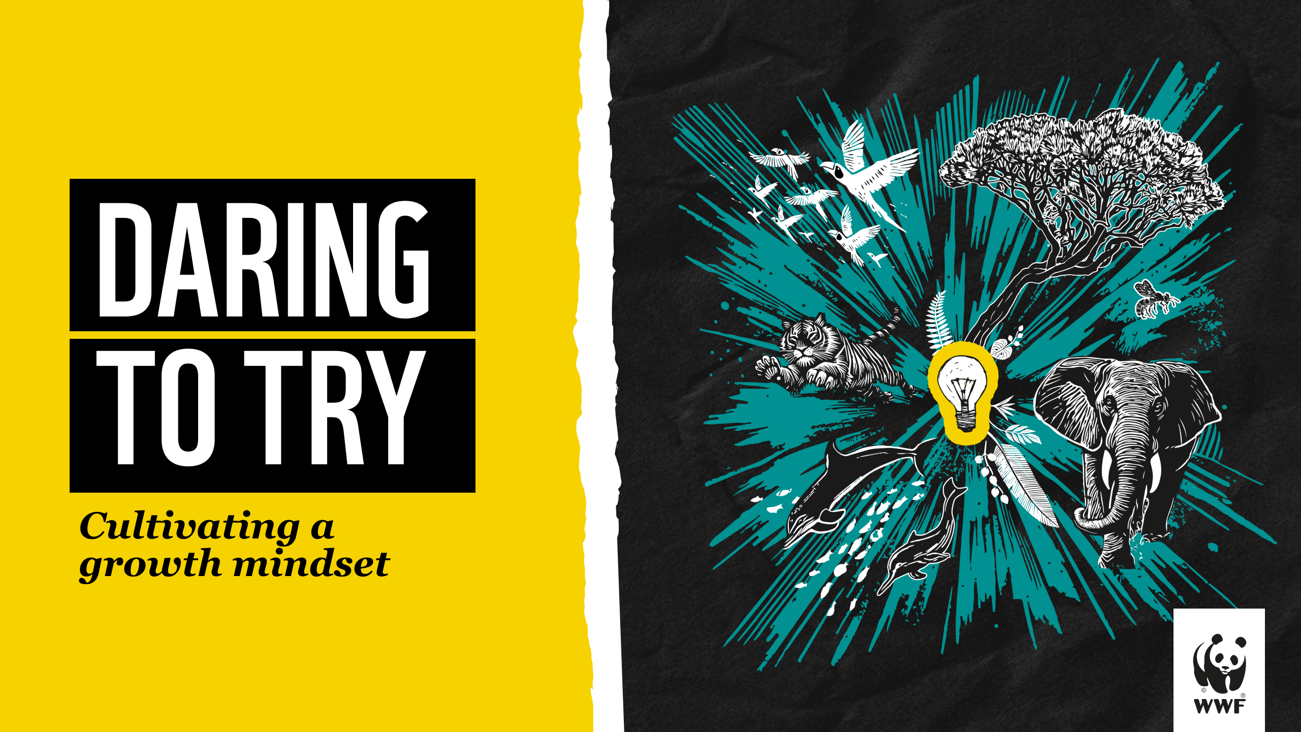 Product image for Daring to Try: Failure and Learning