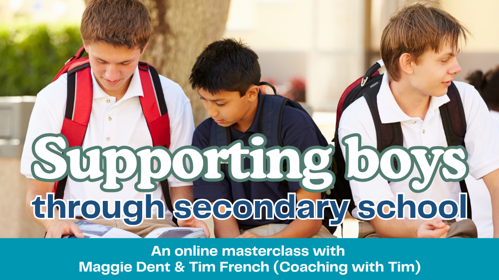 Product image for Supporting boys through secondary school