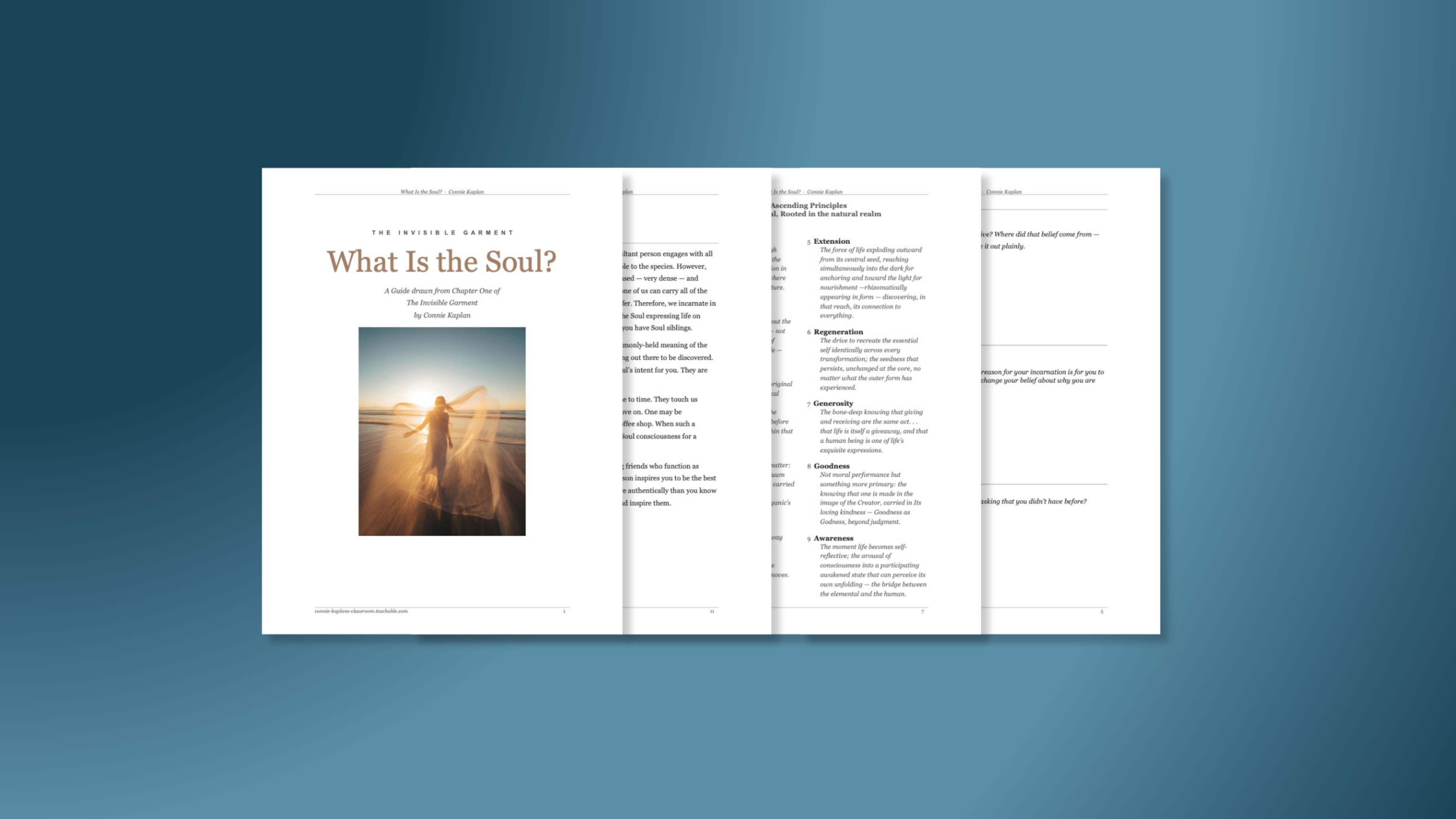 Product image for What is the Soul?