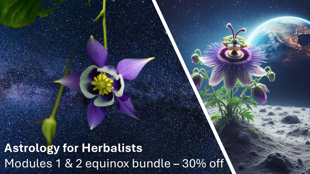 Product image for Astrology for Herbalists - Modules 1 and 2