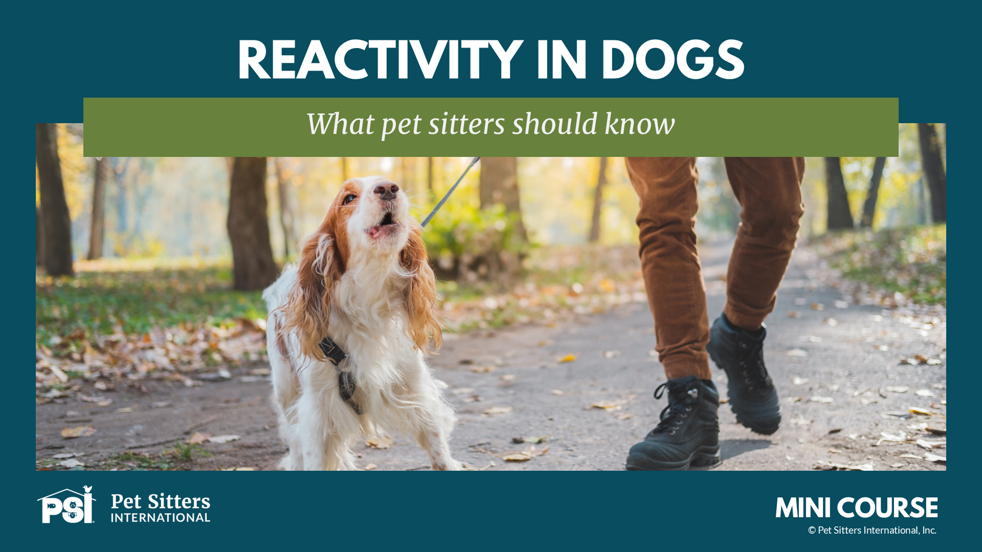 Product image for PSI Mini Course: What Pet Sitters Should Know About Reactivity in Dogs