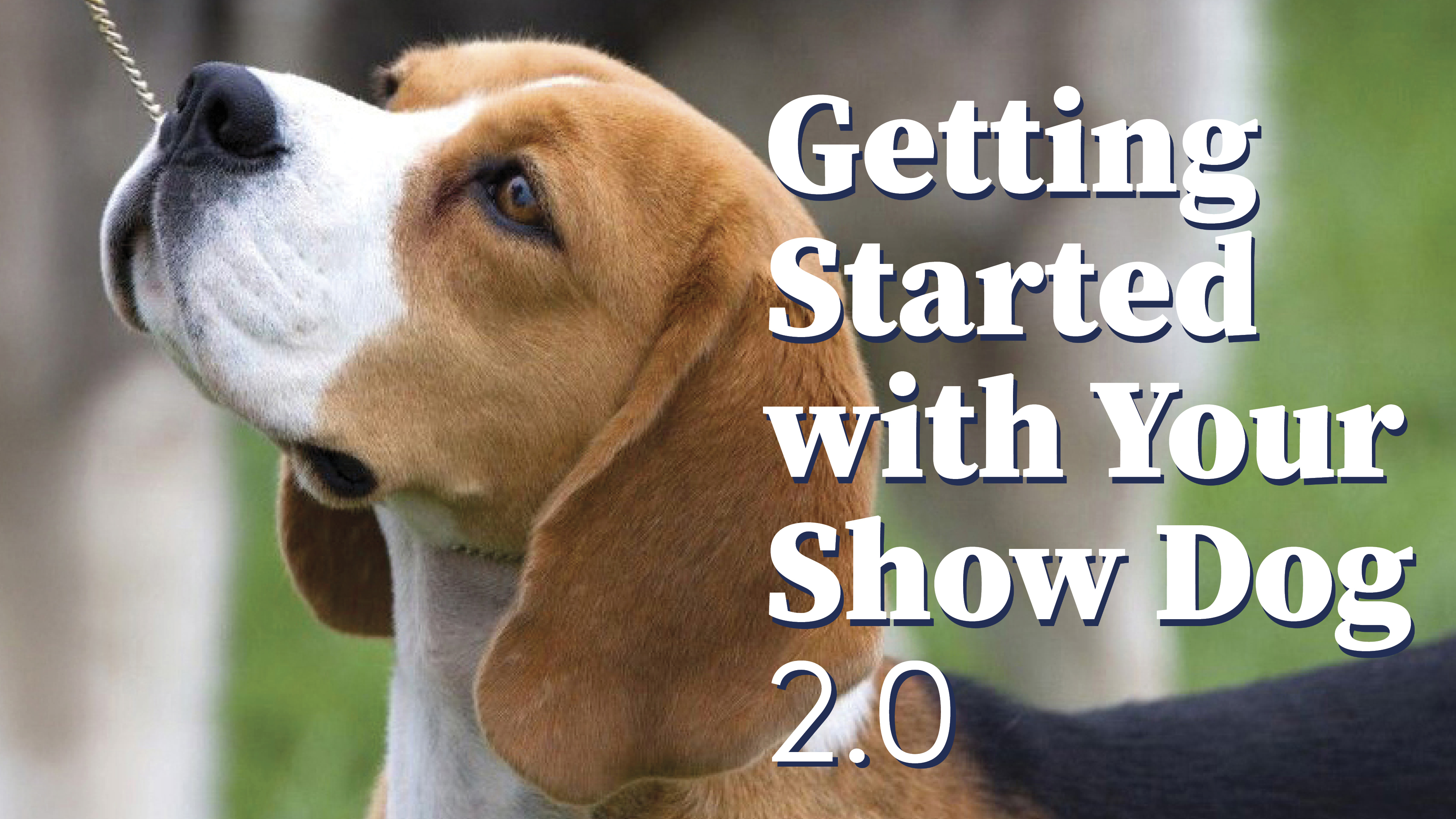 Product image for Getting Started with your Show Dog 2.0