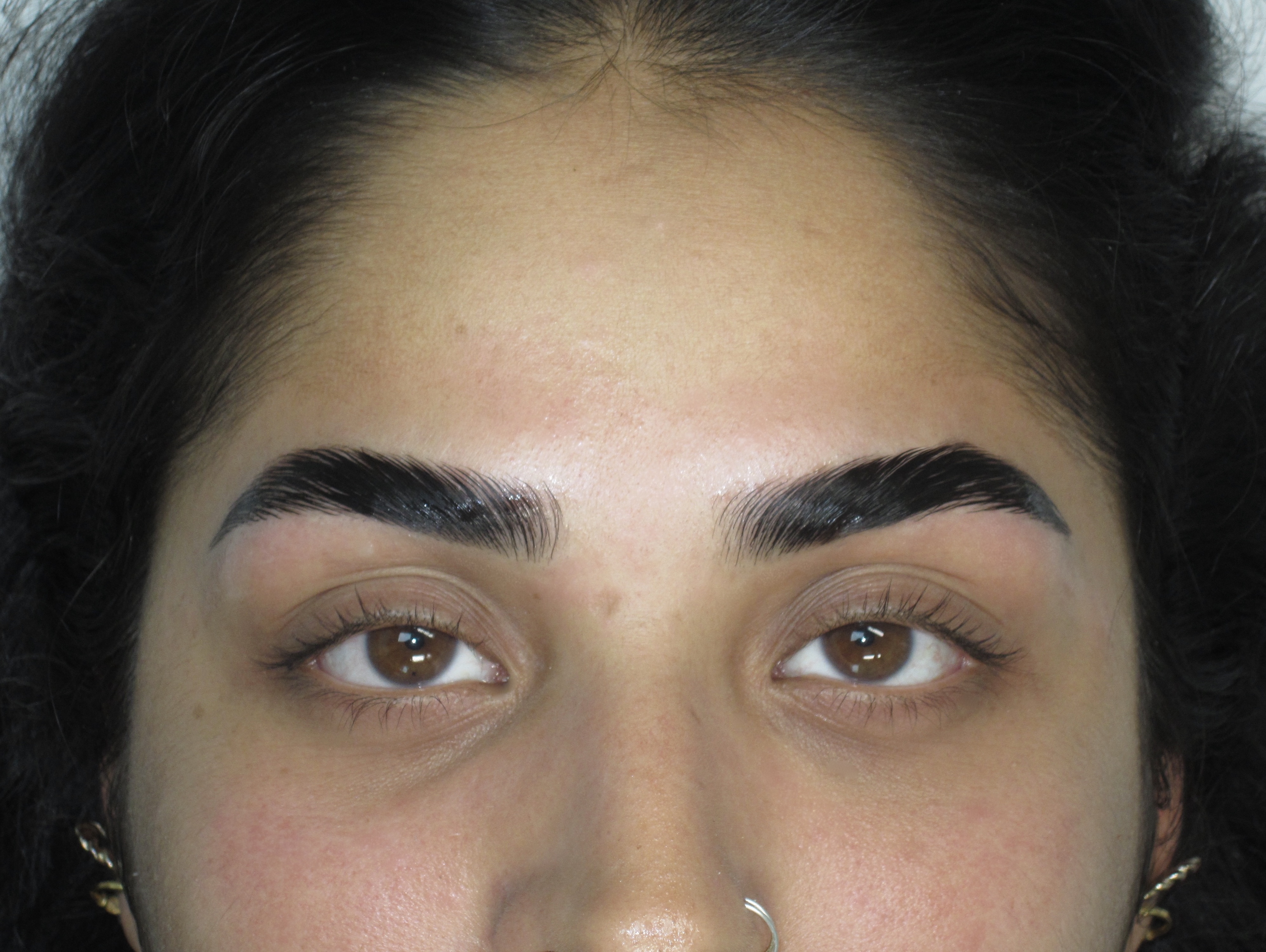 Product image for The Complete Brow Method